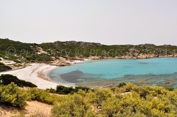 Foto della spiaggia Cala Barbaria a Sartène - Corsica