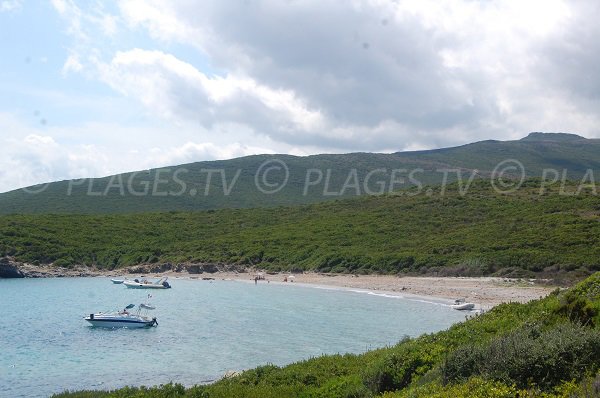 Plage sauvage sur le Cap Corse - Cala Francese