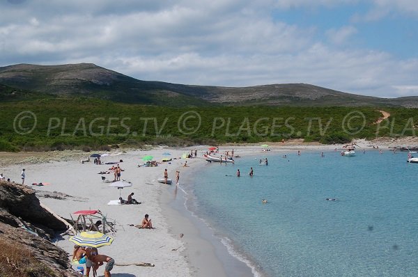 Belle plage sur le Cap Corse à Macinaggio - Cala Genovese