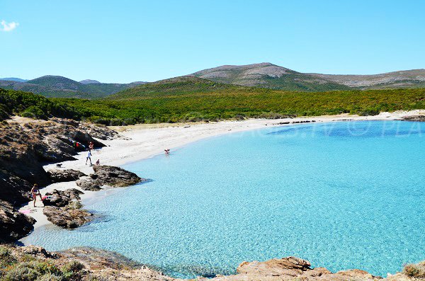 Photo of Cala Genovese beach in Macinaggio in Corsica