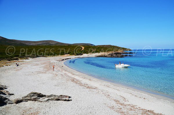 Plage de sable fin dans le Cap Corse - Cala Genovese