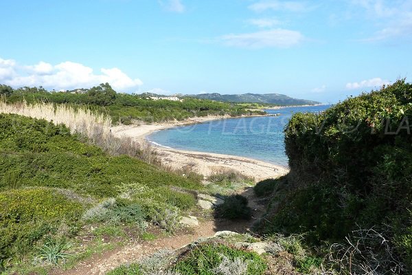 Foto spiaggia di Cala Longa a Bonifacio