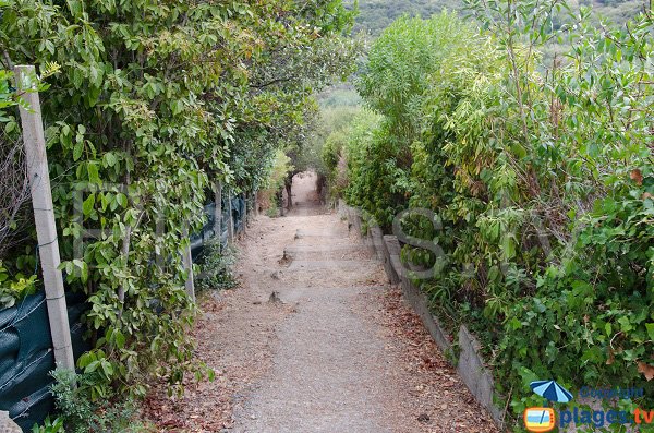 Escaliers dans la cala d'Oro