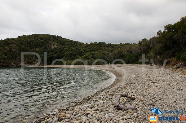 Photo de la plage dans le domaine de Cala d'Oro à Solenzara