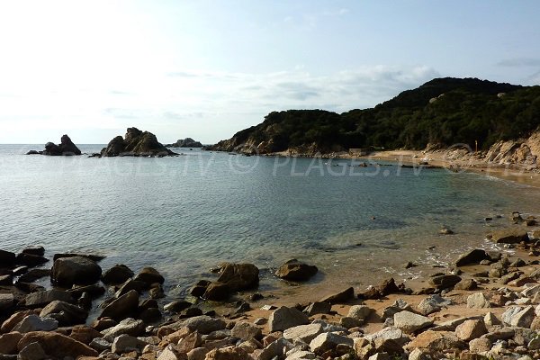 Island in Cala Sciumara - Bonifacio