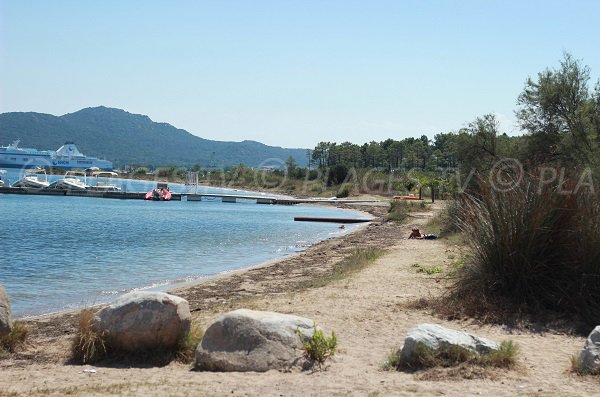 Nord de la plage de Cala Verde