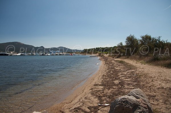 Photo of the Cala Verde beach in Porto-Vecchio in Corsica