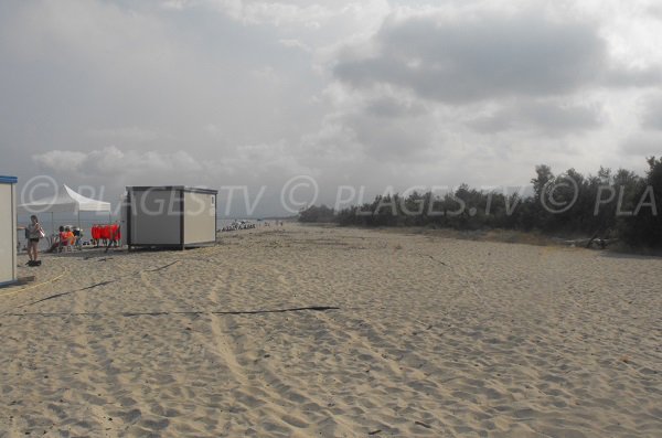 Confinante con la spiaggia Calzarellu - Maquis e la foresta