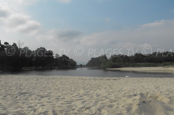 Etang autour de la plage de Calzarellu