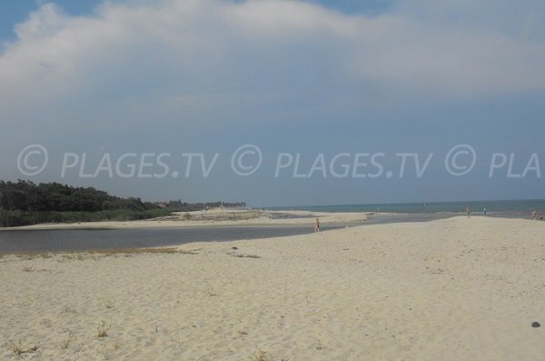 Plage de Calzarellu en Corse - Prunelli Di Fiumorbo