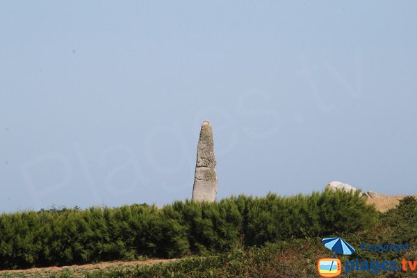 Menhir de Cam-Louis à Plouescat