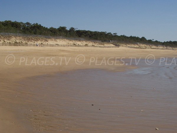 Dunes of Camélias beach in La Tranche sur Mer