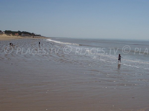 Plage de sable à La Tranche sur Mer des Camélias