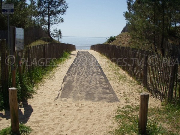 Accès à la plage des Camélias de La Tranche