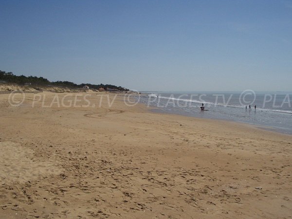 Camélias beach in La Tranche sur Mer in France