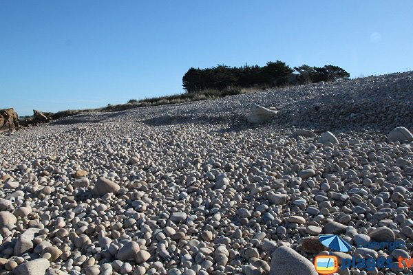 Galets de la pointe de Primel à Plougasnou