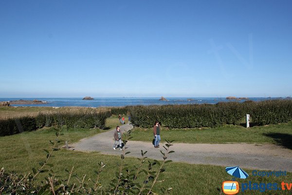 Pelouse autour de la plage du Camping de la Mer