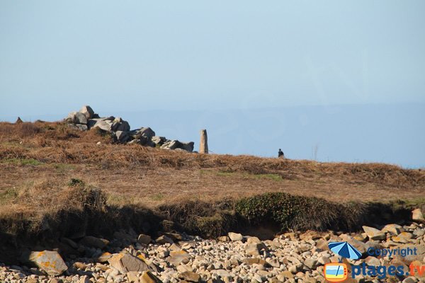 Menhir à la pointe de Primel - Plougasnou