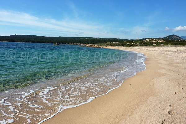 Plage de Campo Mezzano avec vue sur la pointe de Ventilegne