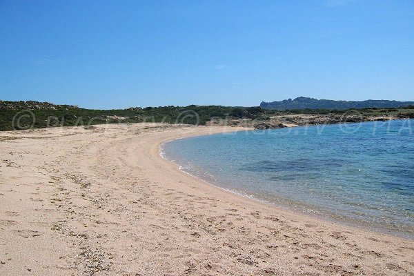 Photo of Campo Mezzano beach in Bonifacio in Corsica