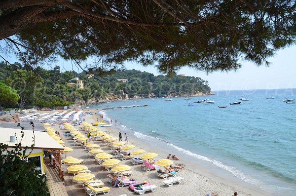 Restaurants on the Canadel beach in France