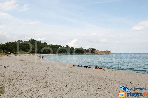 Vue globale de la plage de Canella