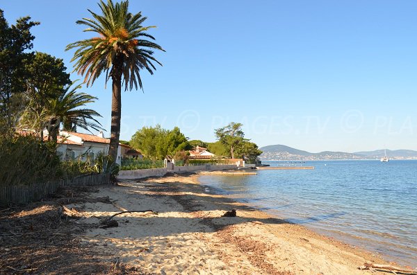 Schattiger Strand Canoubiers