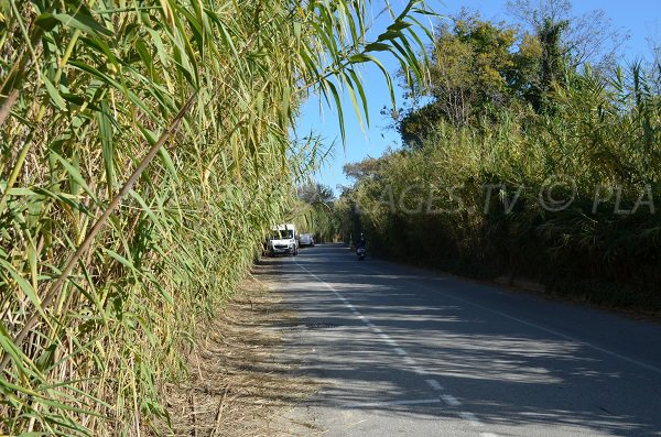 Canoubiers Beach access