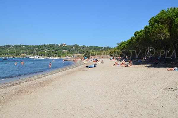 Plage des Canoubiers en été