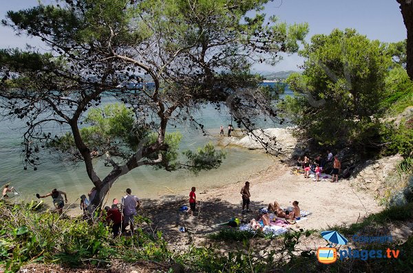 Shade cove in Embiez island