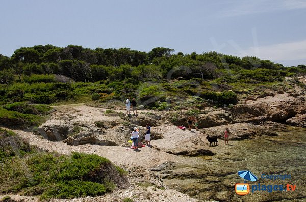 Plage au niveau de la pointe du Canouvié - Les Embiez