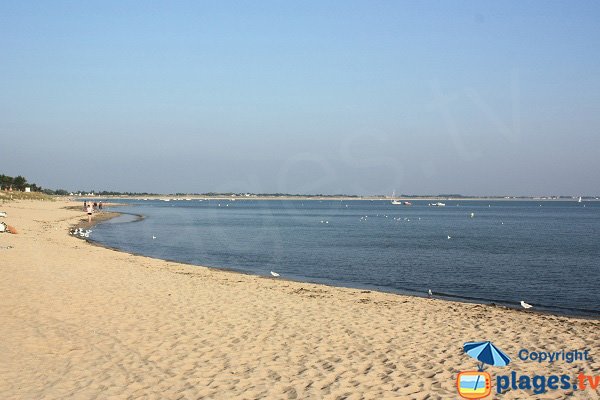 Beach near the Guérinière - La Cantine