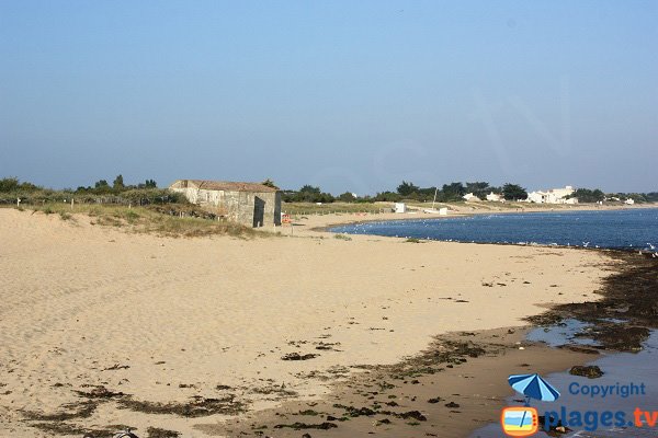 Photo de la plage de la Cantine à Noirmoutier - La Guérinière