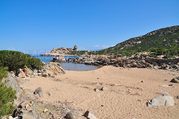 Canusellu Beach in Corsica - Belvédère-Campomoro