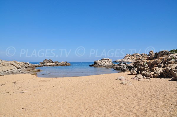 Foto della spiaggia di Canusellu a Campomoro - Corsica