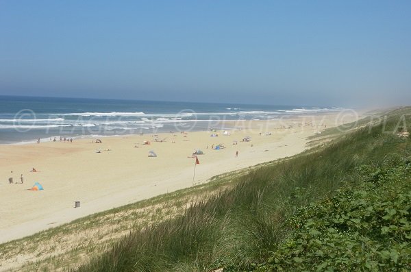 Dunes de la plage du Cap de l'Homy dans les Landes