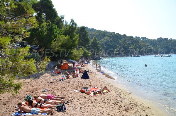 Plage du domaine du Cap Nègre au Lavandou