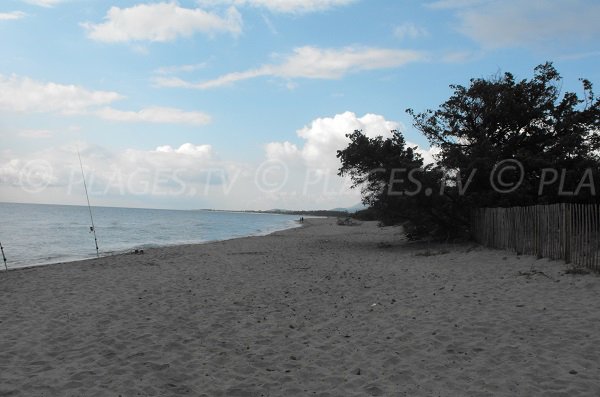 Photo de la plage Cap Sud en Corse