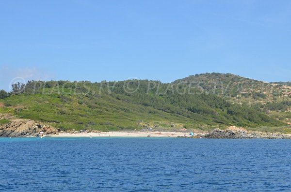 Plage de Taillat à Ramatuelle dans le Var