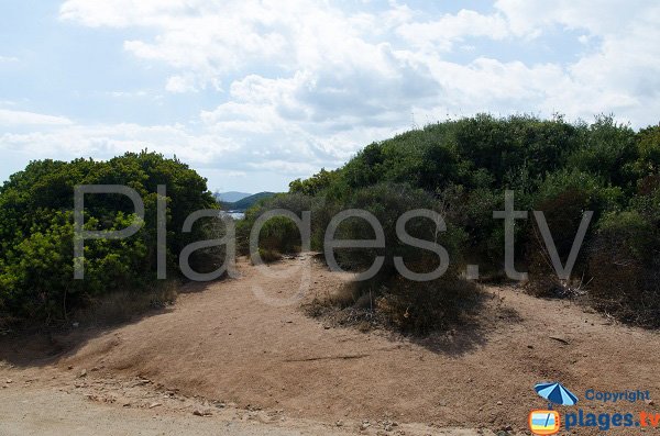 Accès à la plage de Capicciola depuis la piste