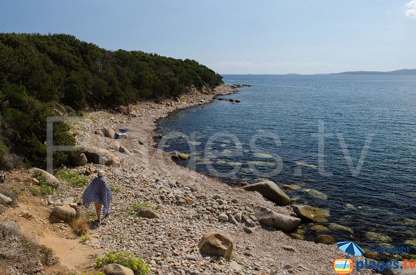 Capicciola cove in Zonza - Corsica