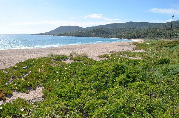 Plage Olmeto à l'embranchement de Porto Polo