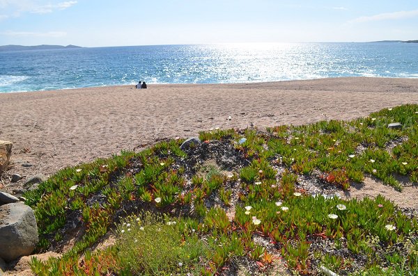 Plage Capiccio en Corse