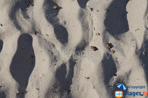 Sable de la plage du Capo di Feno