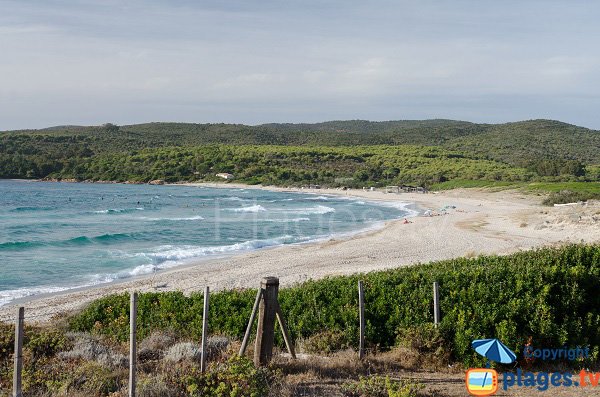 Foto spiaggia di Capo di Feno a Ajaccio - Corsica