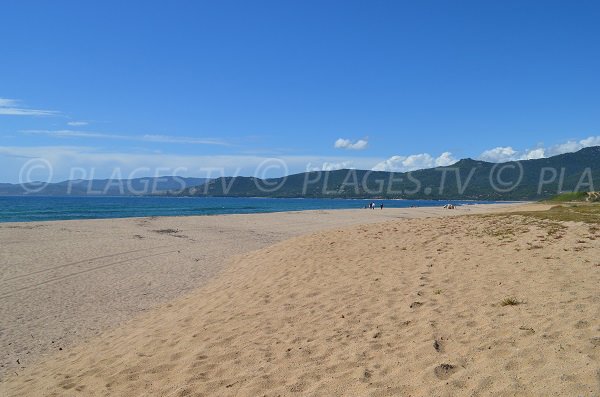 Wild beach in Propriano in Corsica