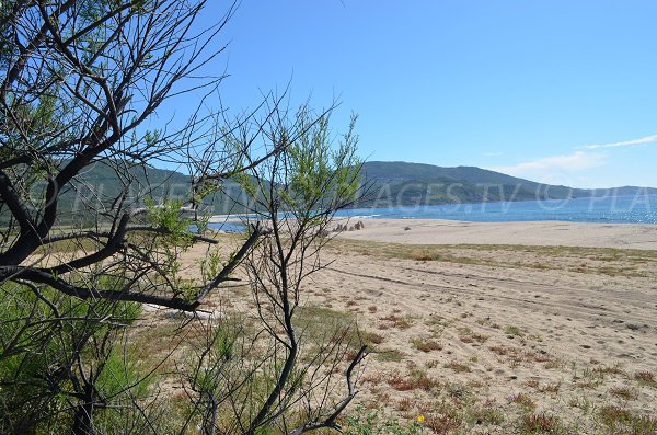 Ambiente spiaggia di Capu Laurosu a Propriano