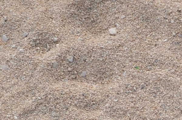 Gravillons sur la plage des Capucins