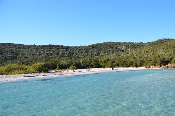 Photo of the Tahiti beach in Porto-Vecchio in Corsica