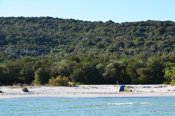 Central part of the Carataghju beach in Porto Vecchio